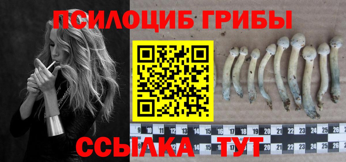 Галлюциногенные грибы прущие грибы Коряжма